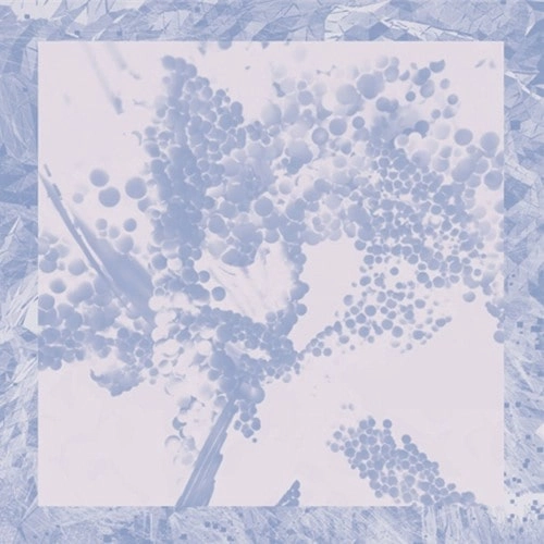 HOLYMACHINES x AQUIET / IMAGE VERSION