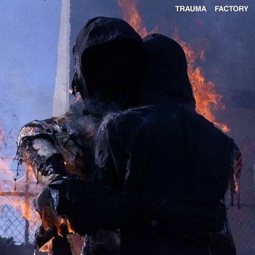 NOTHING, NOWHERE. / TRAUMA FACTORY [VINYL]