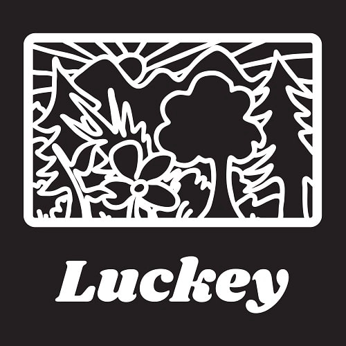 JESSE FUTERMAN FT. BEVERLY GLENN-COPELAND / LUCKEY (PEAKING LIGHTS REMIX)
