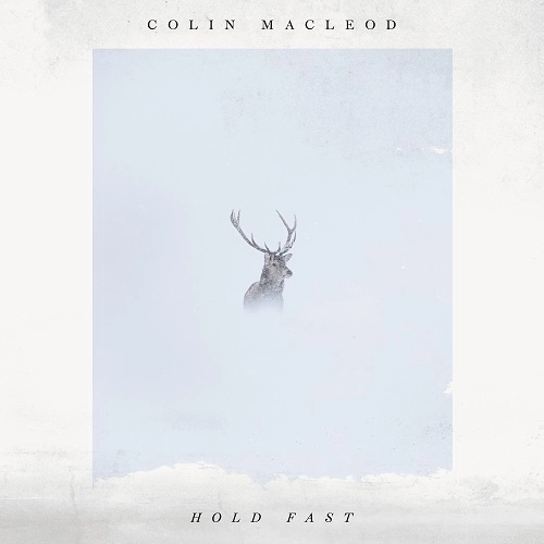 COLIN MACLEOD / コリン・マクラウド / HOLD FAST (LP)