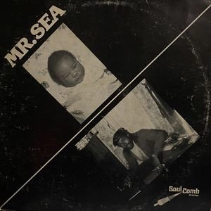V.A. / オムニバス / MR.SEA