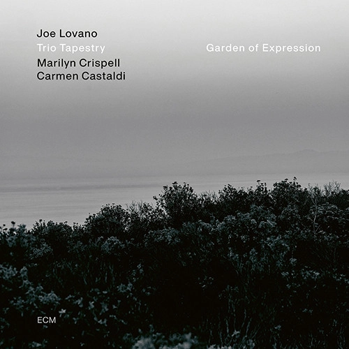 JOE LOVANO / ジョー・ロヴァーノ / GARDEN OF EXPRESSION