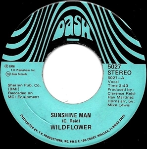 WILDFLOWER (MODERN SOUL) / ワイルドフラワー / SUNSHINE MAN