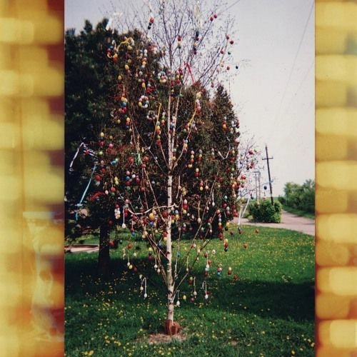 KRAUS (PAT KRAUS) / A GOLDEN BRAIN (LP) / A GOLDEN BRAIN