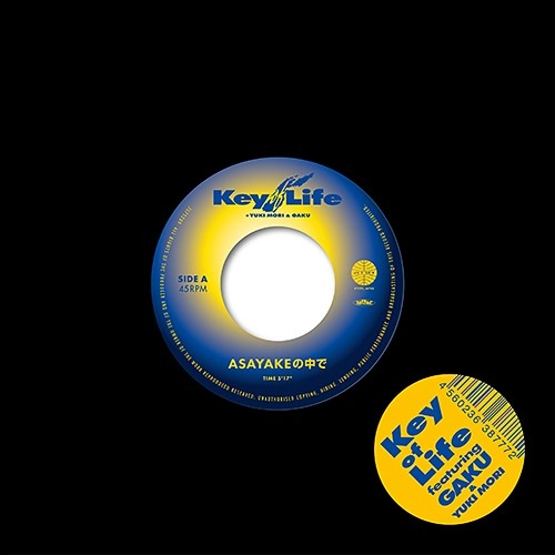KEY OF LIFE / キー・オブ・ライフ / ASAYAKEの中で