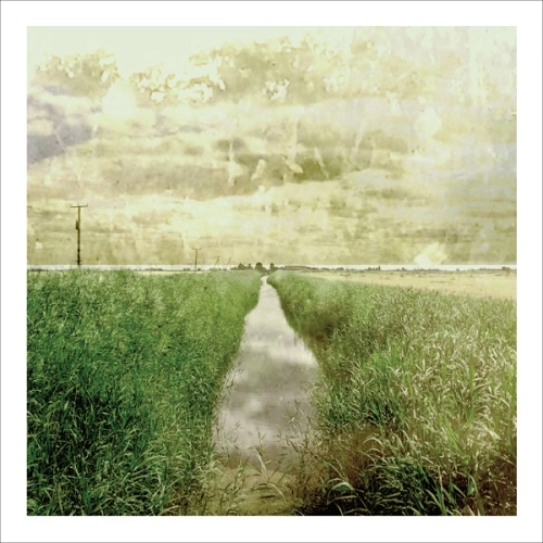 SIMON SCOTT / APART