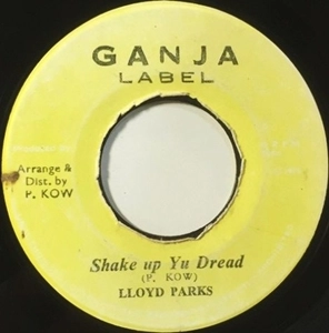 LLOYD PARKS / SHAKE UP YU DREAD