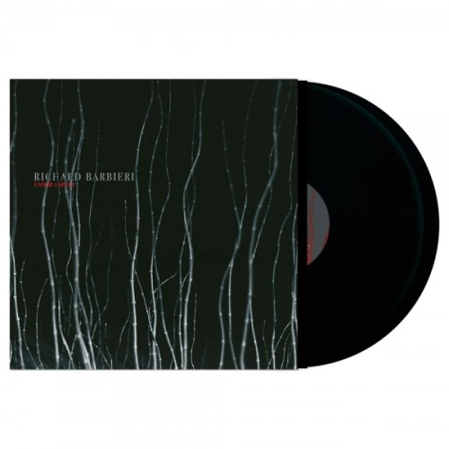 RICHARD BARBIERI / リチャード・バルビエリ / UNDER A SPELL: LIMITED VINYL