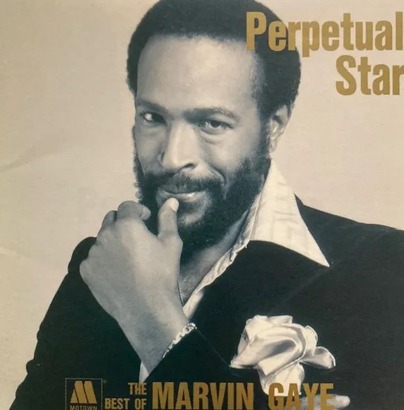 MARVIN GAYE / マーヴィン・ゲイ / パーペチュアルスター