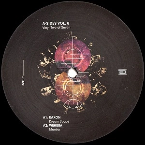 V.A. / オムニバス / A-SIDES VOL. 8 VINYL TWO OF SEVEN