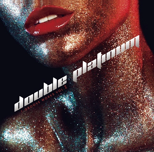V.A.(REMIXED BY T-GROOVE) / DOUBLE PLATINUM T-GROOVE WORKS VOL.2（LP） / DOUBLE PLATINUM T-GROOVE WORKS VOL.2 <LP>