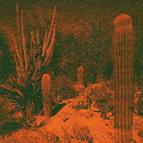 CAMERON KNOWLER & ELI WINTER / ANTICIPATION (CD-R)