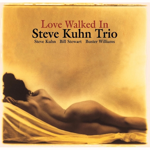 STEVE KUHN / スティーヴ・キューン / 忍びよる恋(LP/180g)