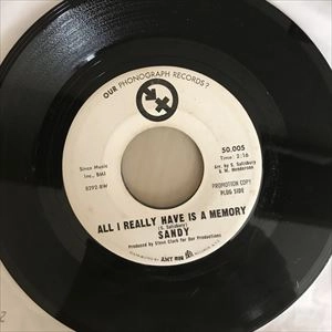 SANDY SALISBURY / サンディ・サルスベリー / ALL I REALLY HAVE IS A MEMORY