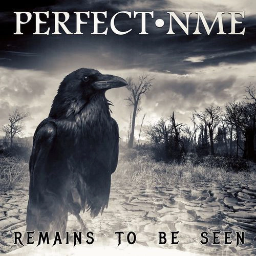PERFECT NME  / パーフェクト・エヌ・エム・イー / リメインズ･トゥ･ビー･シーン＜直輸入盤国内仕様＞ / REMAINS TO BE SEEN