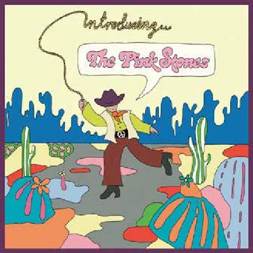 PINK STONES / INTRODUCING THE PINK STONES