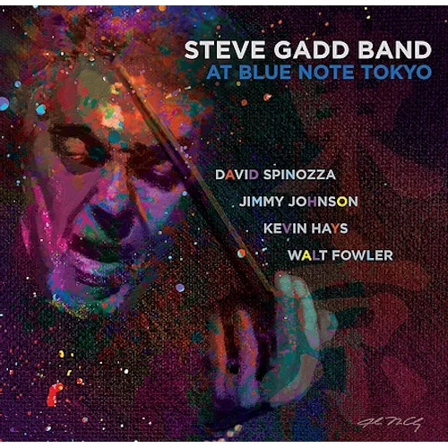 STEVE GADD / スティーヴ・ガッド / AT BLUE NOTE TOKYO