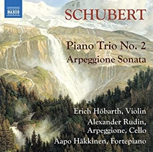 ALEXANDER RUDIN / アレクサンドル・ルディン / SCHUBERT: PIANO TRIO NO.2,ARPEGGIONE SONATA