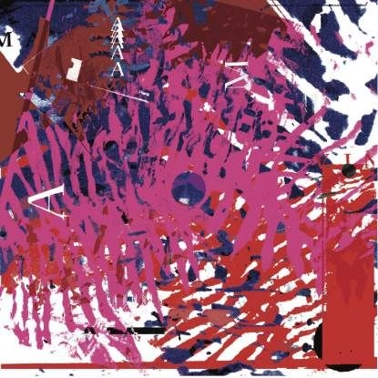 VINICIO ADAMES / ヴィニチオ・アダメス / AMAZONIA (7")