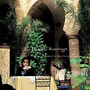 NARUYOSHI KIKUCHI / 菊地成孔 / 野生の思考