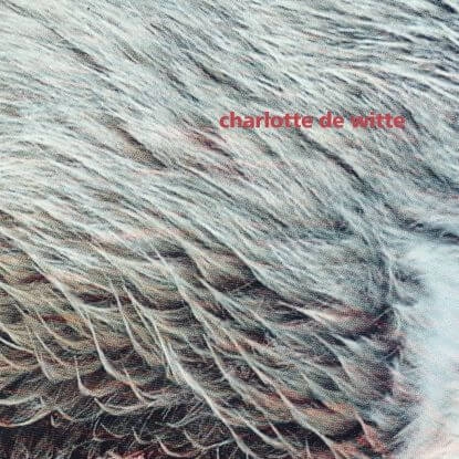 CHARLOTTE DE WITTE / シャーロット・デ・ウィット / VISION EP (KANGDING RAY REMIX)