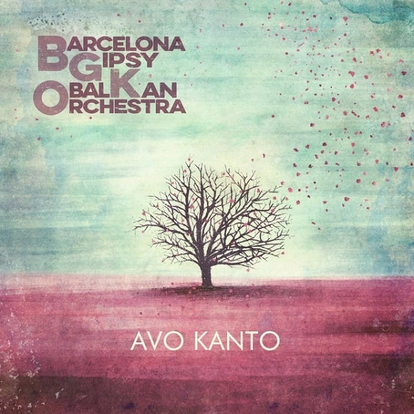 BARCELONA GIPSY BALKAN ORCHESTRA / バルセロナ・ジプシー・バルカン・オーケストラ / AVO KANTO