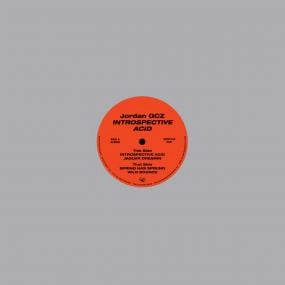 JORDAN GCZ / INTROSPECTIVE ACID