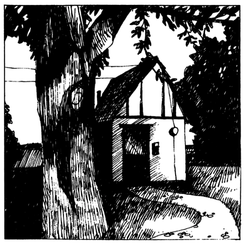 NAOMI LEWIS / COTTAGE SONGS
