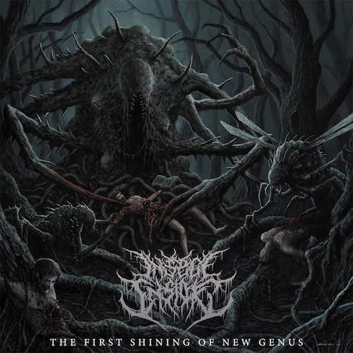 INSECT INSIDE / THE FIRST SHINING OF NEW GENUS