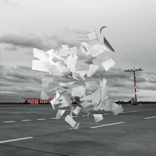 WHITE ASH / ホワイト・アッシュ / Crowds（7"）