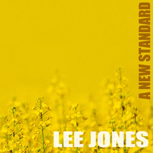 LEE JONES(JAZZ) / リー・ジョーンズ / A NEW STANDARD