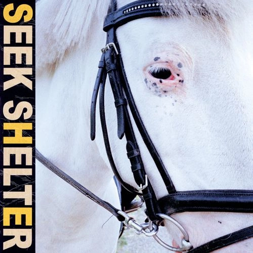 ICEAGE / アイスエイジ / SEEK SHELTER