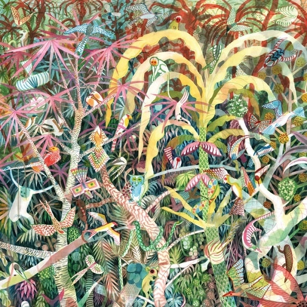 DIJF SANDERS / ダイヴ・サンダース / LICHEN