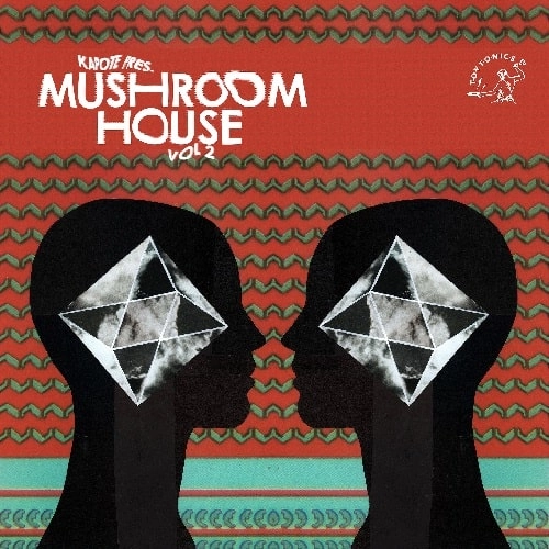 KAPOTE / KAPOTE PRES MUSHROOM HOUSE VOL 2 (2LP)