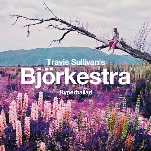 TRAVIS SULLIVAN'S BJORKESTRA / トラヴィス・サリヴァンズ・ビョーケストラ / Hyperballad c/w Venus as a boy / HYPERBALLAD / VENUS AS A BOY
