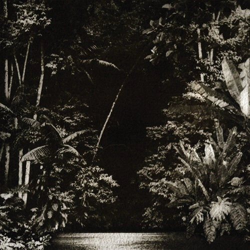 NICOLA CRUZ / ニコラ・クルース / ARPEJOS DA FLORESTA