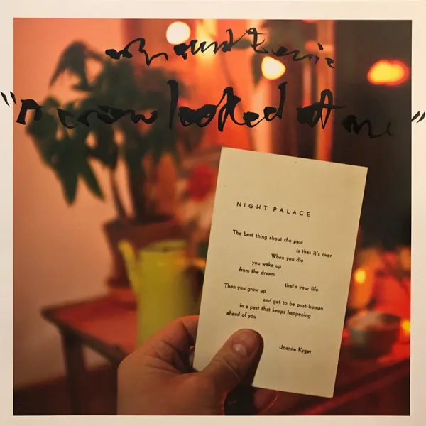 MOUNT EERIE / マウント・イアリ / CROW LOOKED AT ME