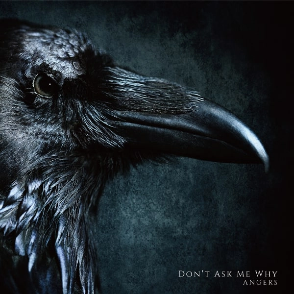 ANGERS / アンジェ / ドント･アスク･ミー･ホワイ / DON'T ASK ME WHY