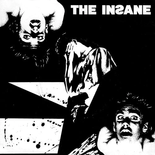 INSANE (PUNK) / POLITICS (7")