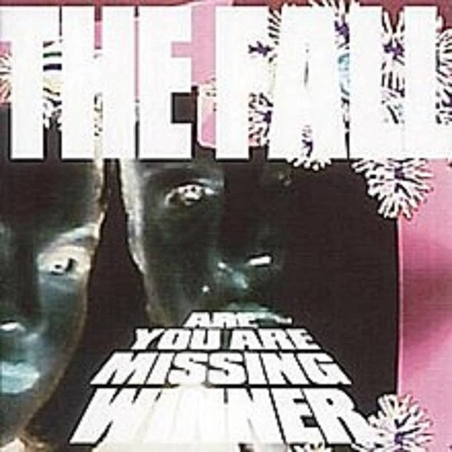 FALL / フォール / ARE YOU ARE MISSING WINNER: 4CD DIGIPAK