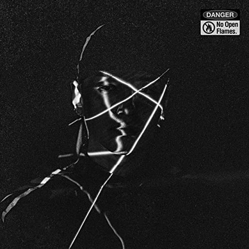 SIMON DOMINIC / NO OPEN FLAMES