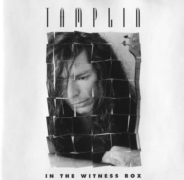 KEN TAMPLIN / ケン・タンプリン / IN THE WITNESS BOX