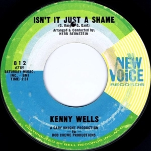 KENNY WELLS / I CAN'T STOP / ISN'T IT JUST A SHAME