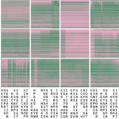 HECKER / SYNOPSIS SERIATION