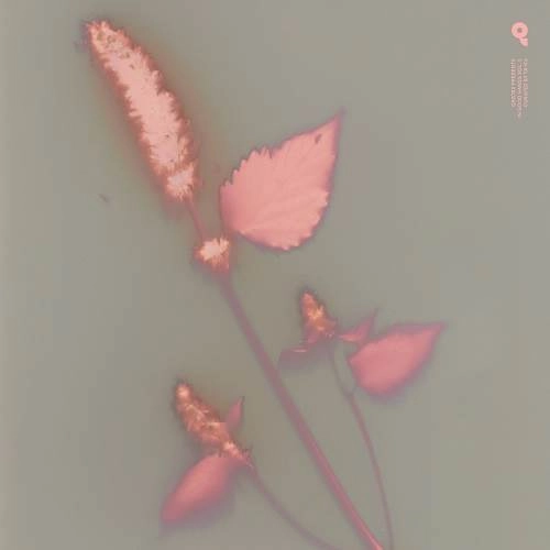 V.A. (Ta-ku) / In Good Hands vol.1