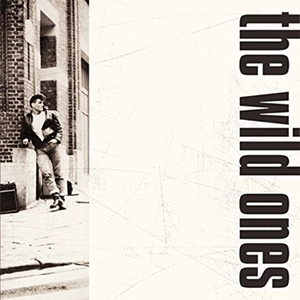 WILD ONES / ワイルドワンズ (PUNK/BELGIUM) / WILD ONES