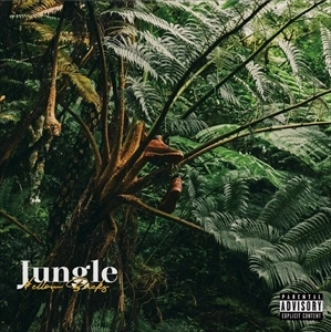 \ellow Bucks / JUNGLE