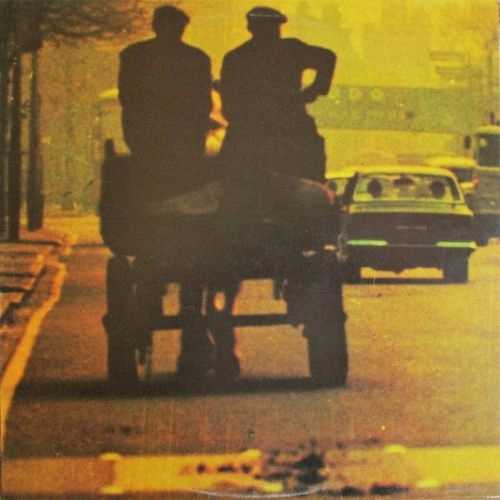 RONNIE LANE / ロニー・レイン / ANYMORE FOR ANYMORE (LP) / ANYMORE FOR ANYMORE