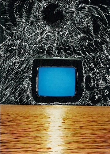 STAGNATION / Violent noize sunset beach party live at Enoshima Oppa-La DVD