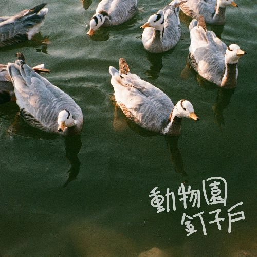ZOO GAZER / 動物園釘子戸 / ZOO GAZER